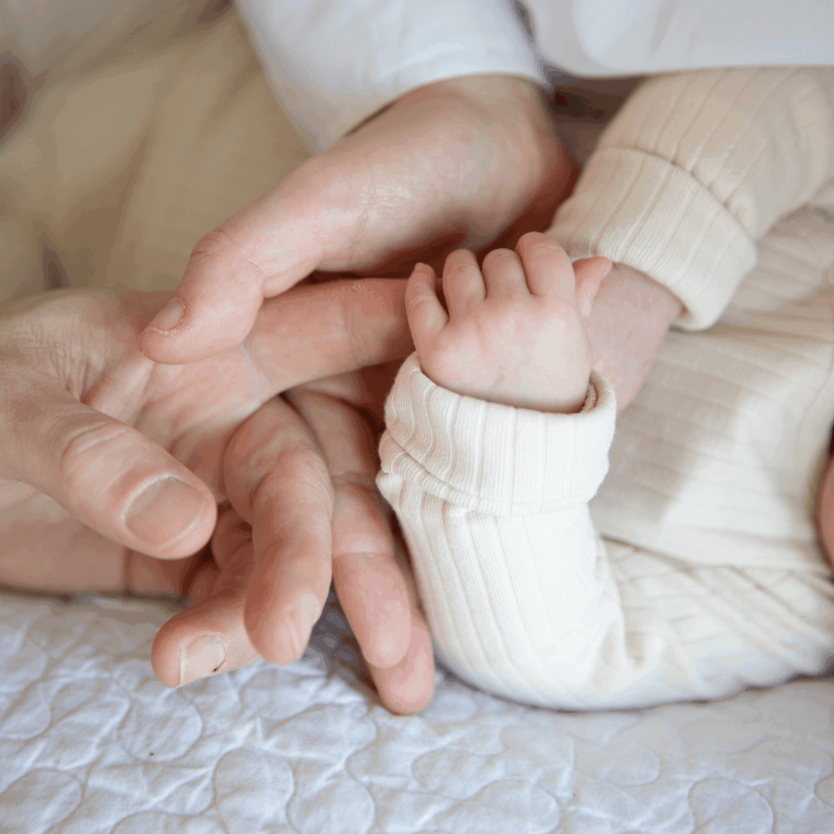 hand van baby in hand van ouder