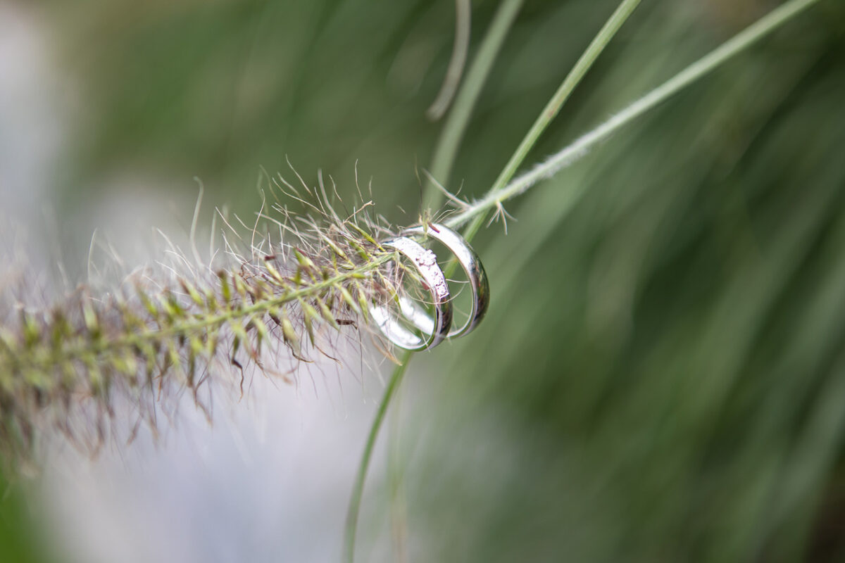 ringen van bruid en bruidegom