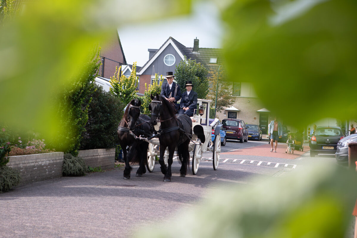 Bruidskoets met paarden onderweg naar de trouwlocatie