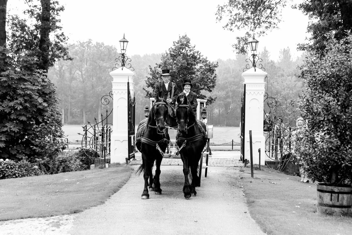 koets met paarden tijdens bruiloft op trouwlocatie